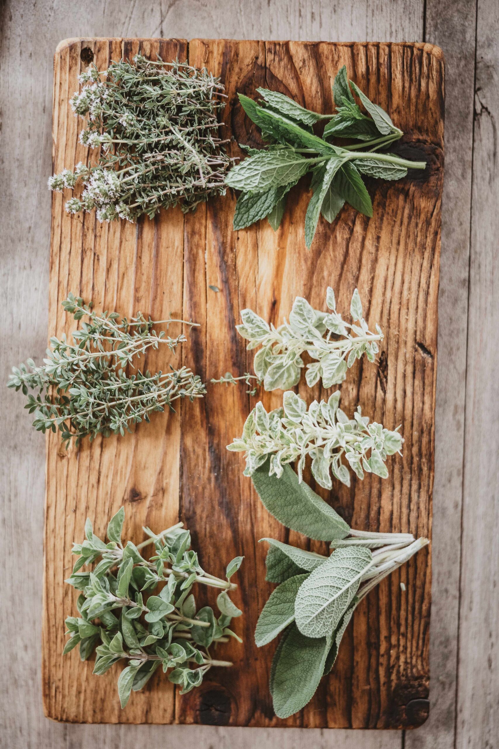 Sciroppo alle Erbe - immagine 2