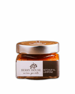 Ketchup al Lampone